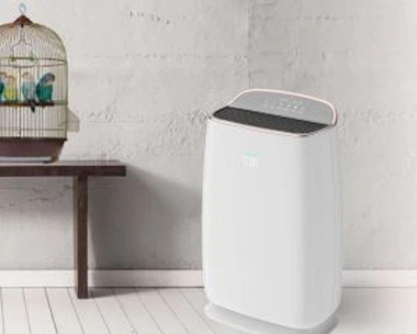Χαμηλό CADR AIR PURIFIER Με δείκτη αντικατάστασης φίλτρου