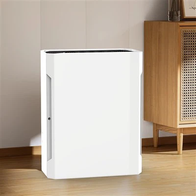 BKJ-20B Hot Selling Μικρός Αποτελεσματικός Καθαριστής Αέρα