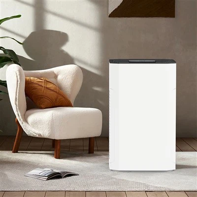 BKJ -80 b Hepa Larfe Air Furifier για αναπνοή φρέσκο ​​αέρα